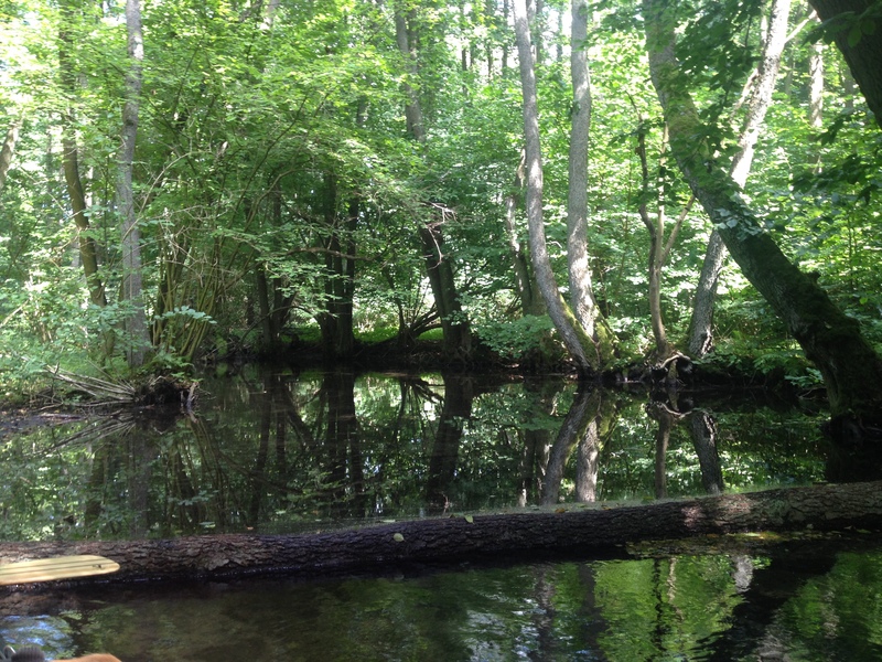 10 Seen Runde auf der Mecklenburgischen Kleinseenplatte